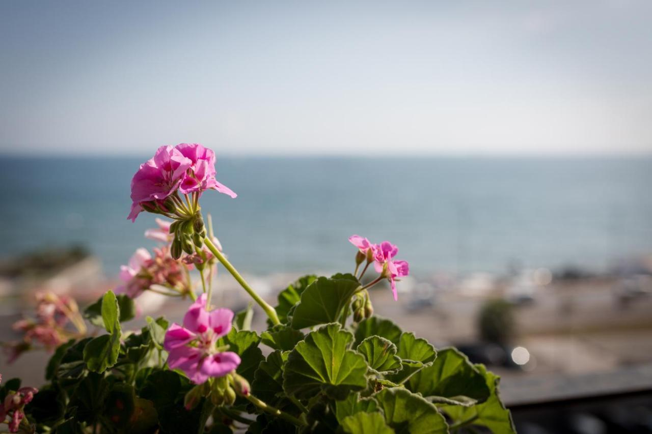 לינה וארוחת בוקר סלרנו Salsedine Sea View מראה חיצוני תמונה